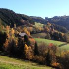 Herbstwanderung 2