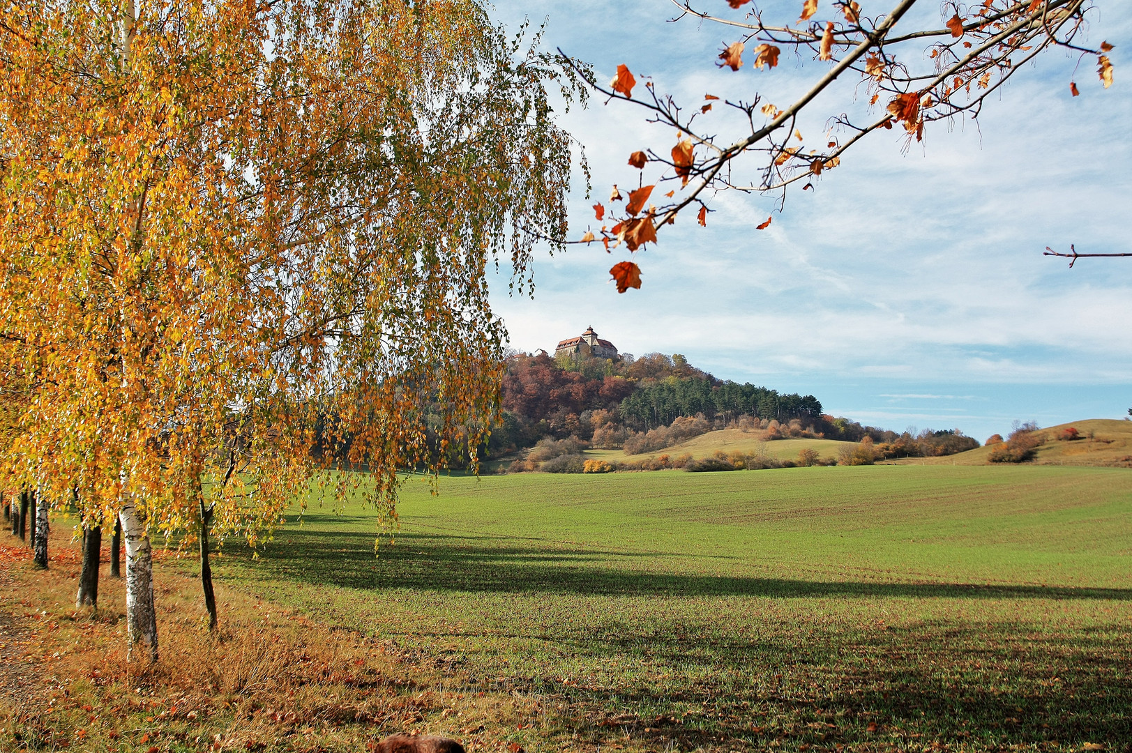 Herbstwanderung 2