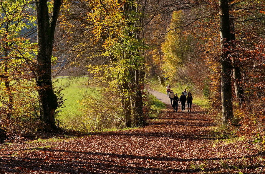 Herbstwanderung