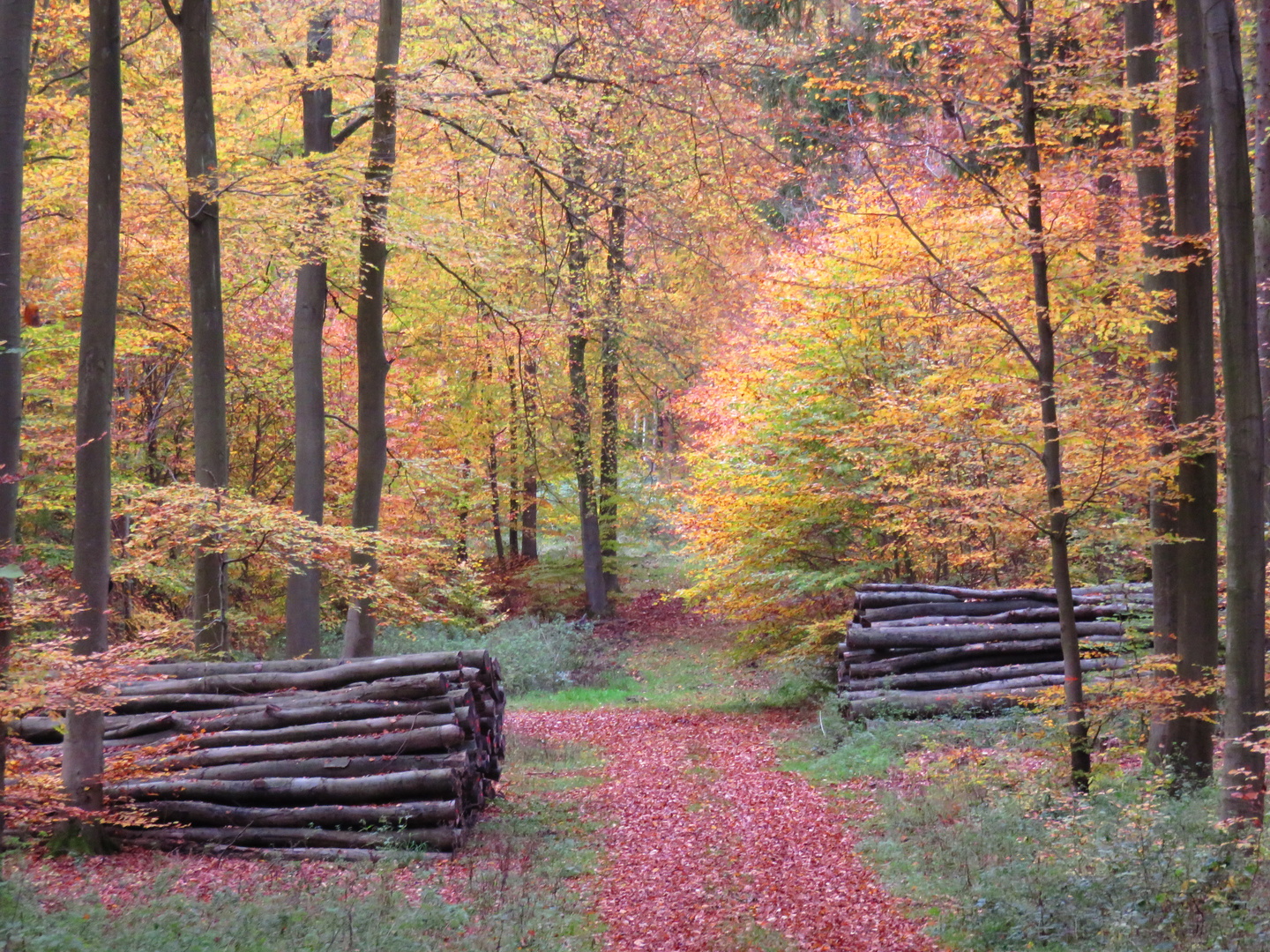 Herbstwanderung