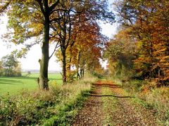 Herbstwanderung