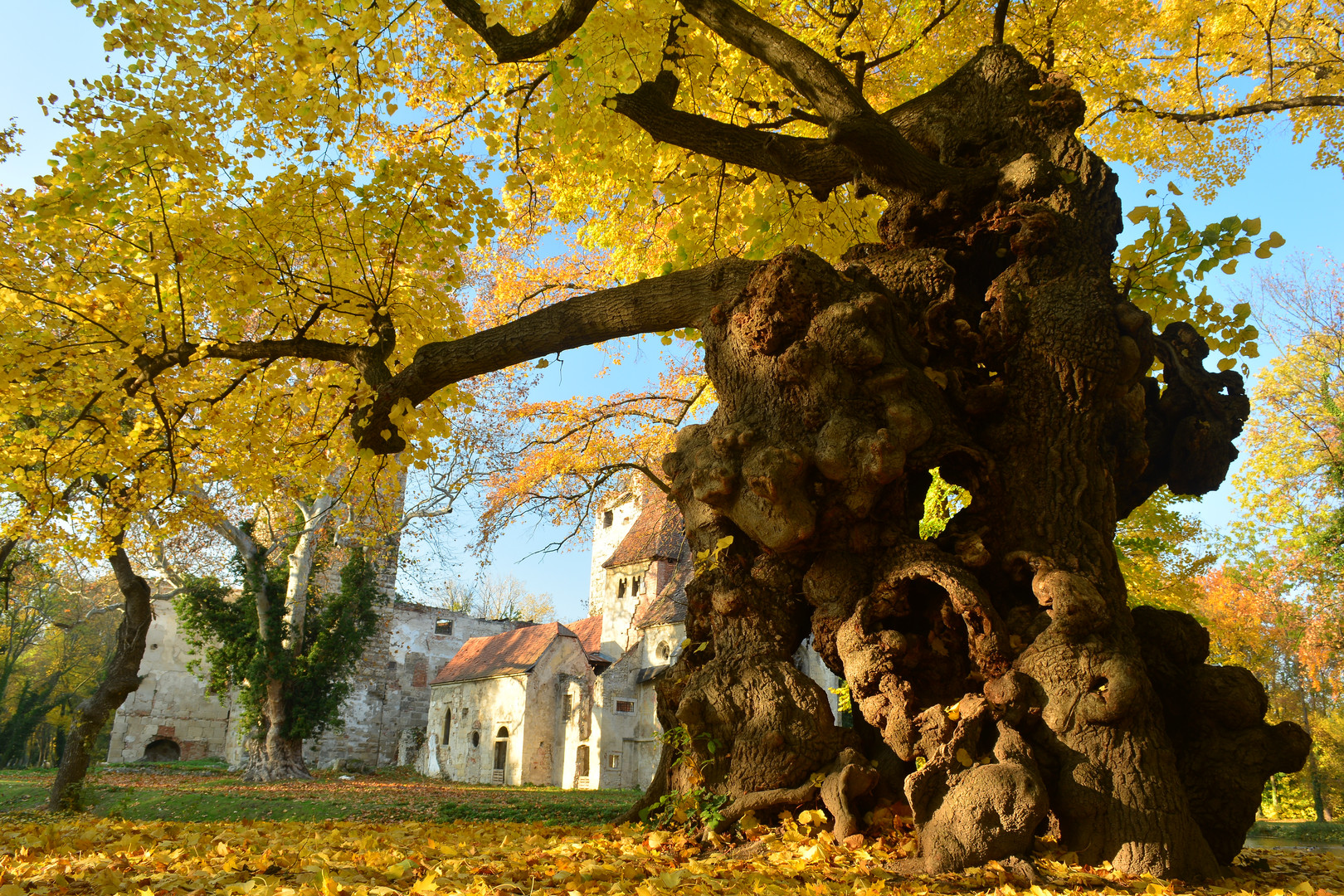 Herbstwanderung