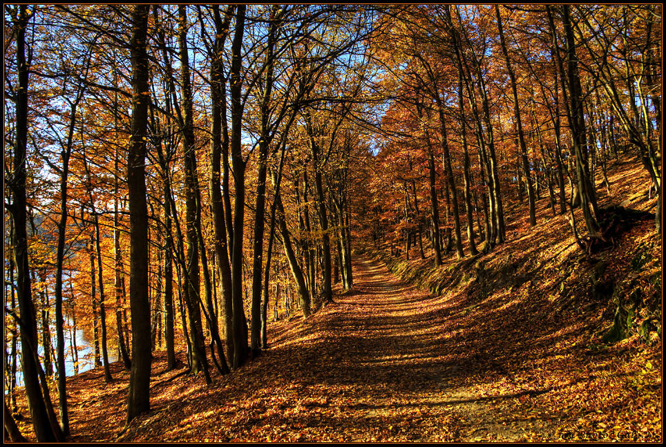 ~Herbstwanderung~