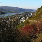 Herbstwanderung