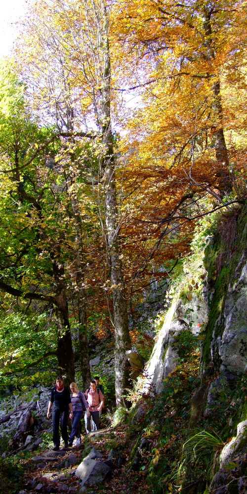 Herbstwanderung