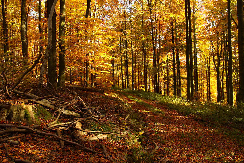 Herbstwanderung