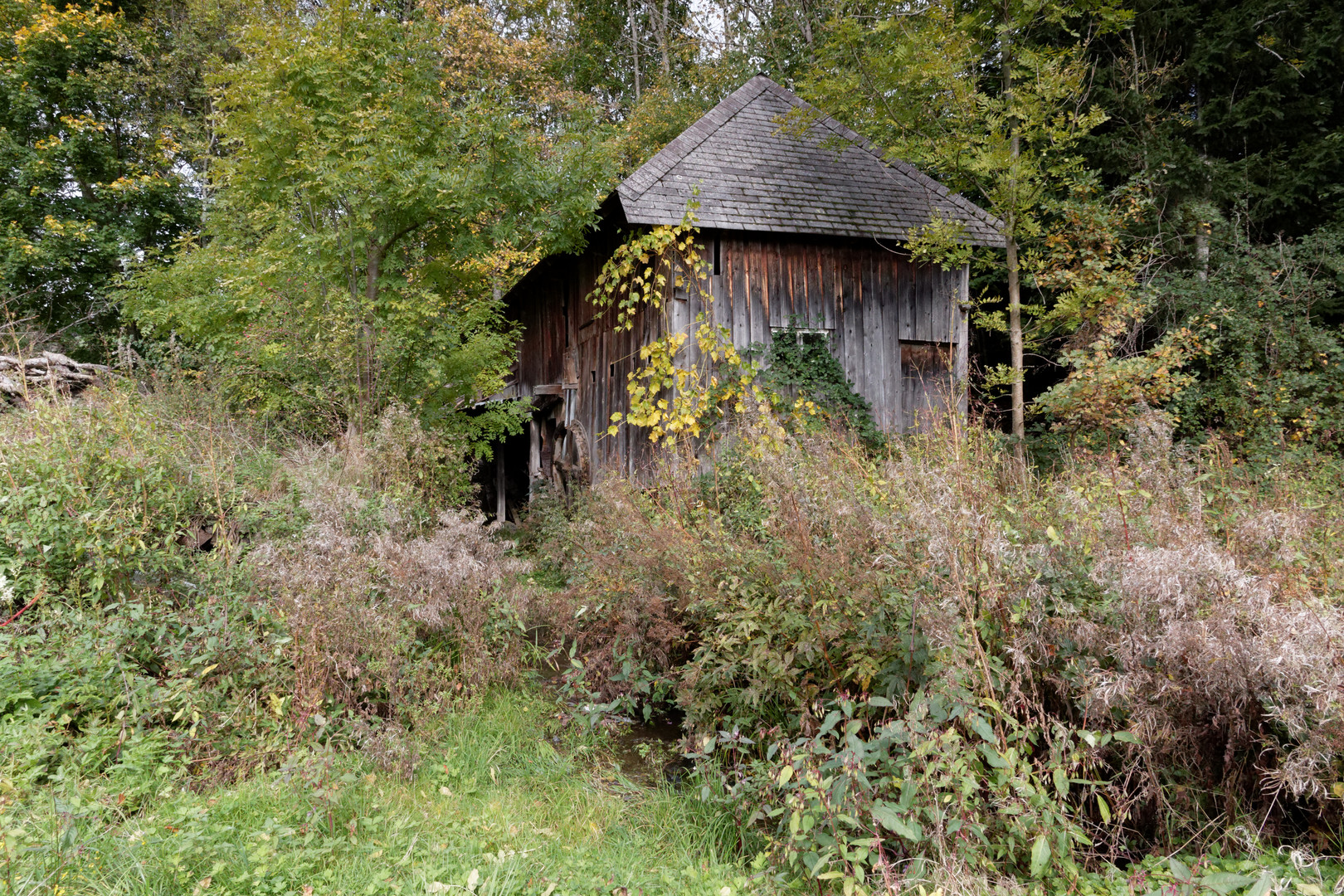 Herbstwanderung 4