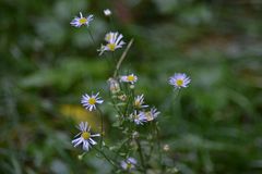 Herbstwanderung