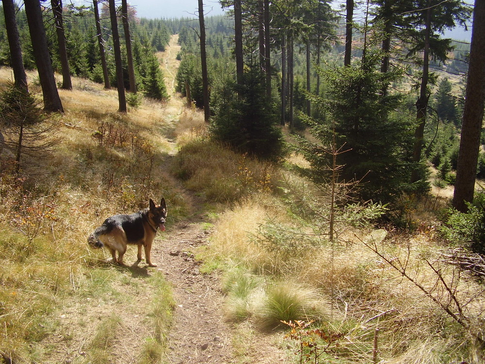 "Herbstwanderung...