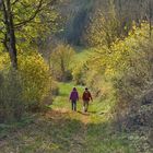 Herbstwanderung 