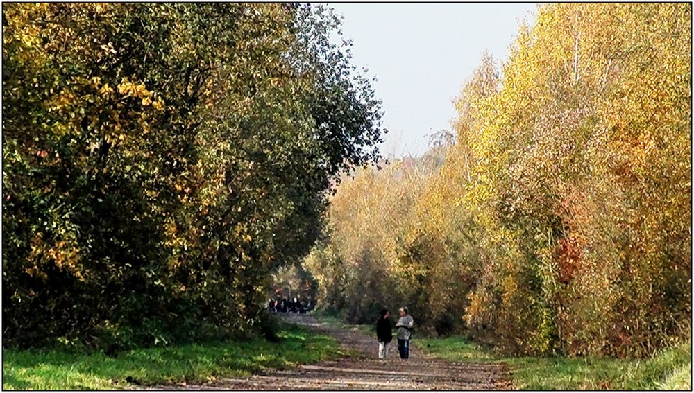 Herbstwanderung