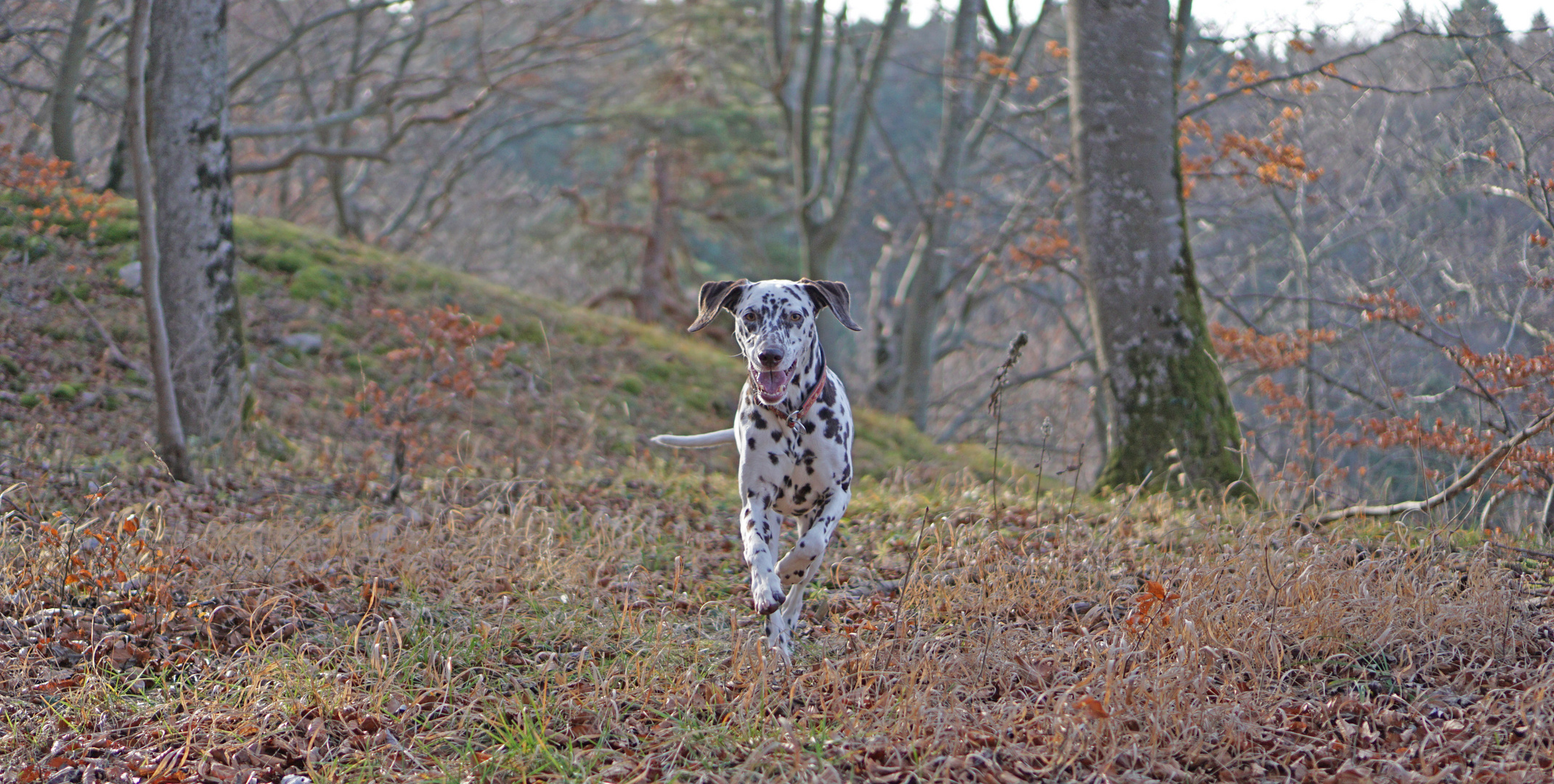 Herbstwanderung