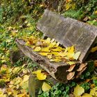 Herbstwanderung.....