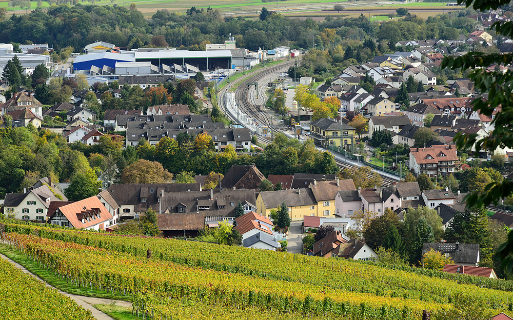 Herbstwanderung 5