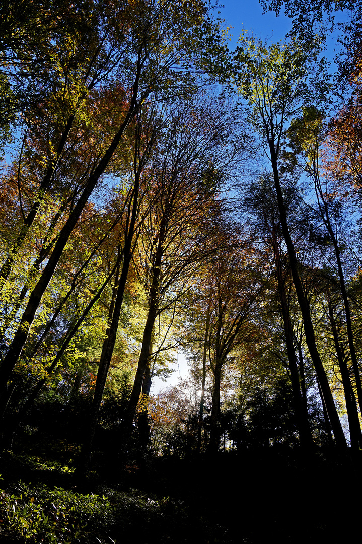 Herbstwanderung