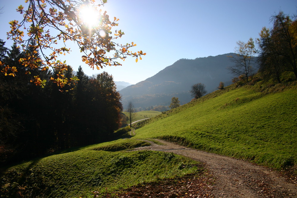 Herbstwanderung von Roscher Andreas 