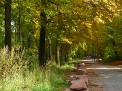 Herbstwanderung