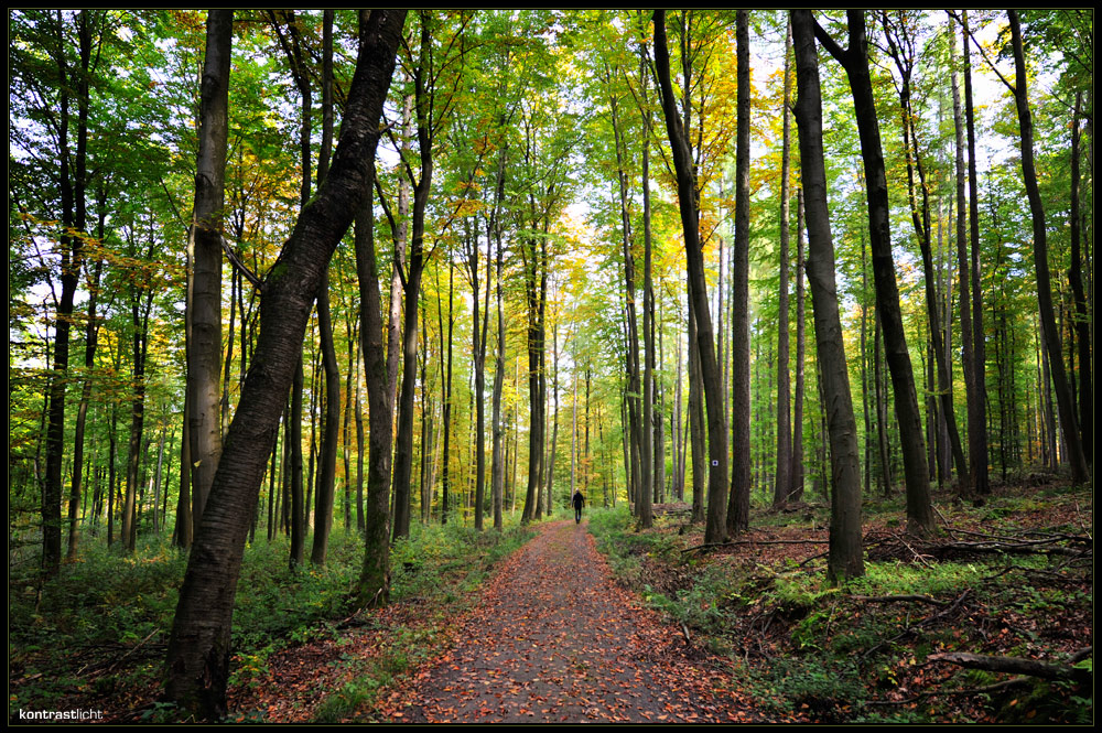 HERBSTWANDERUNG