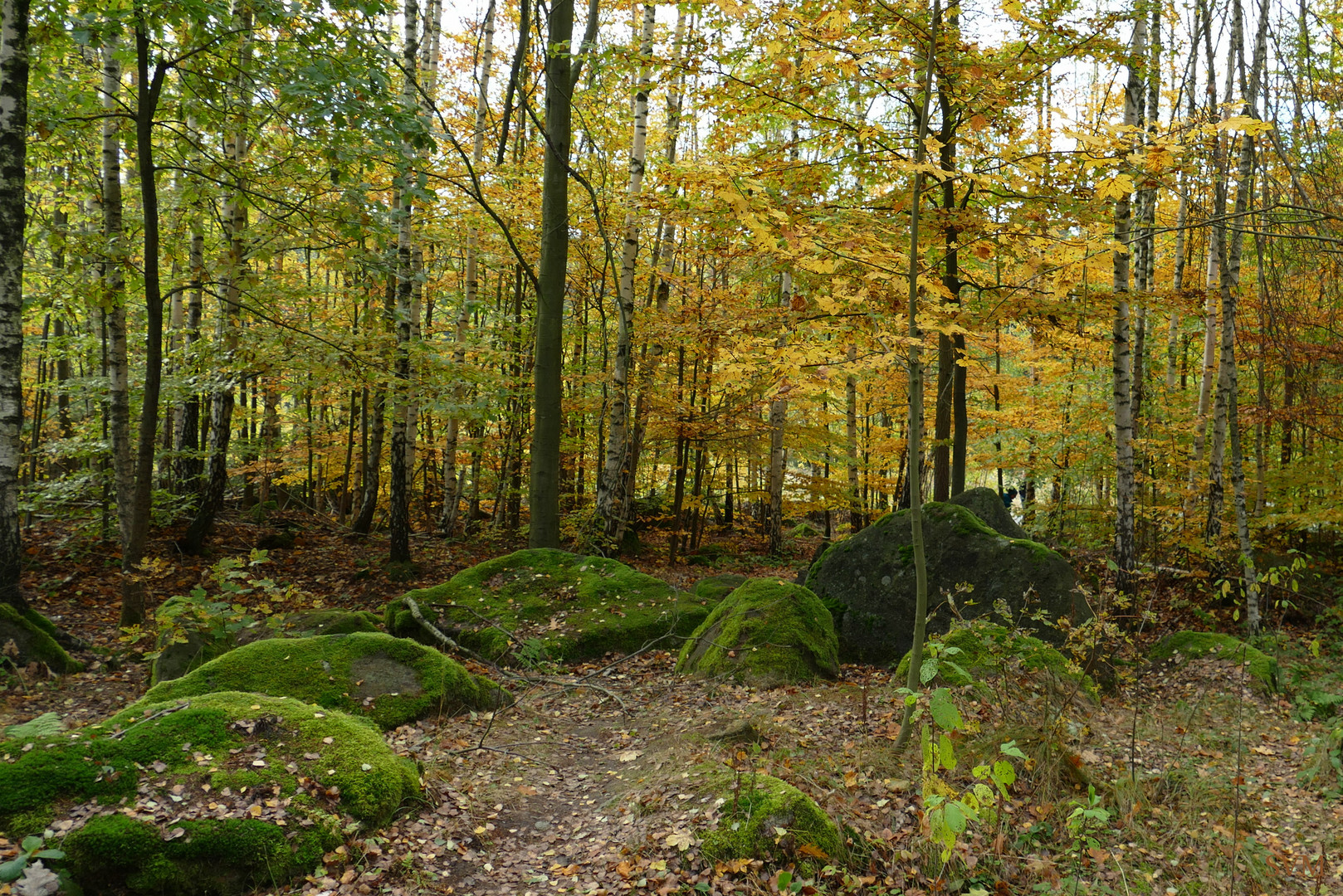 Herbstwanderung