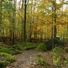 Herbstwanderung