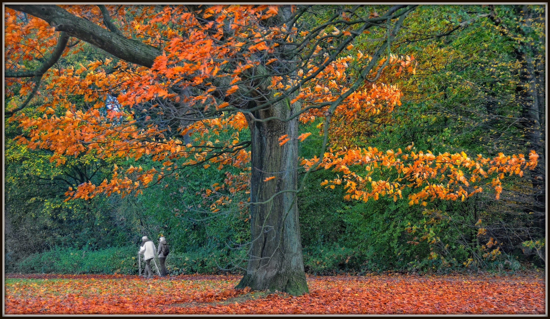 Herbstwanderung