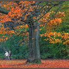 Herbstwanderung