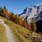 Herbstwanderung ...