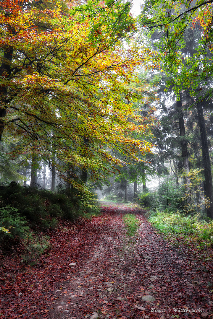 Herbstwanderung