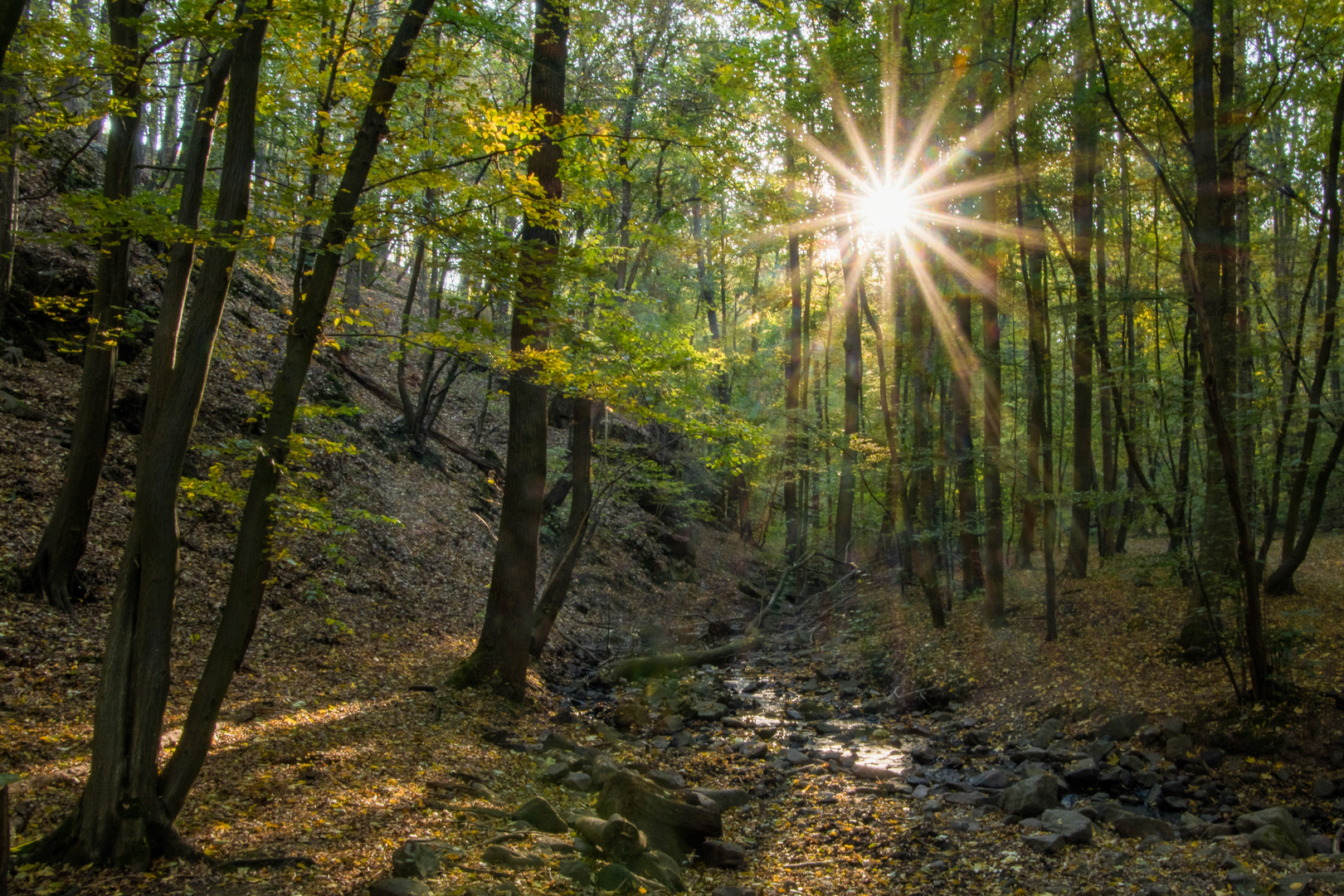 Herbstwanderung