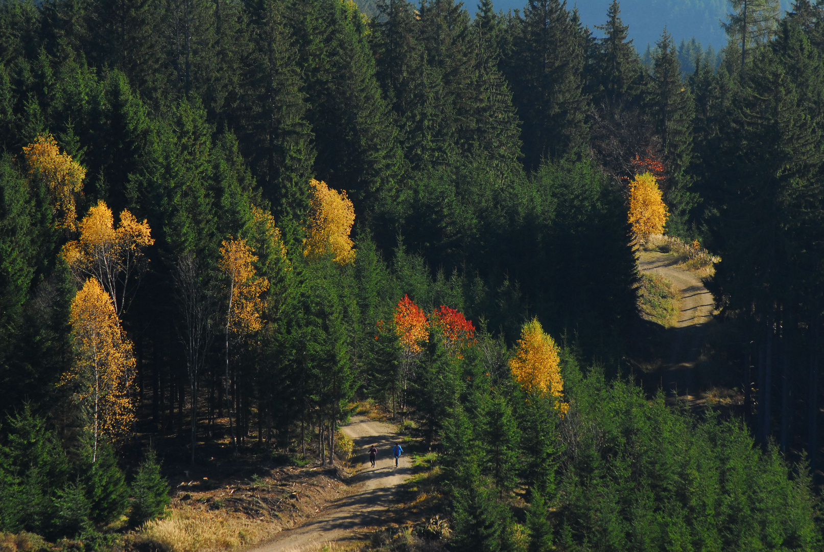 Herbstwanderung 7