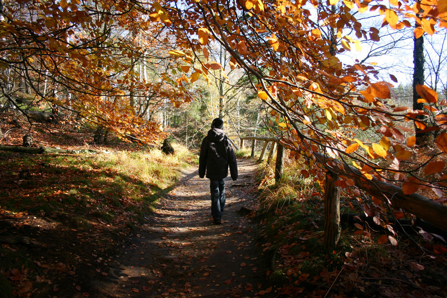 Herbstwanderung