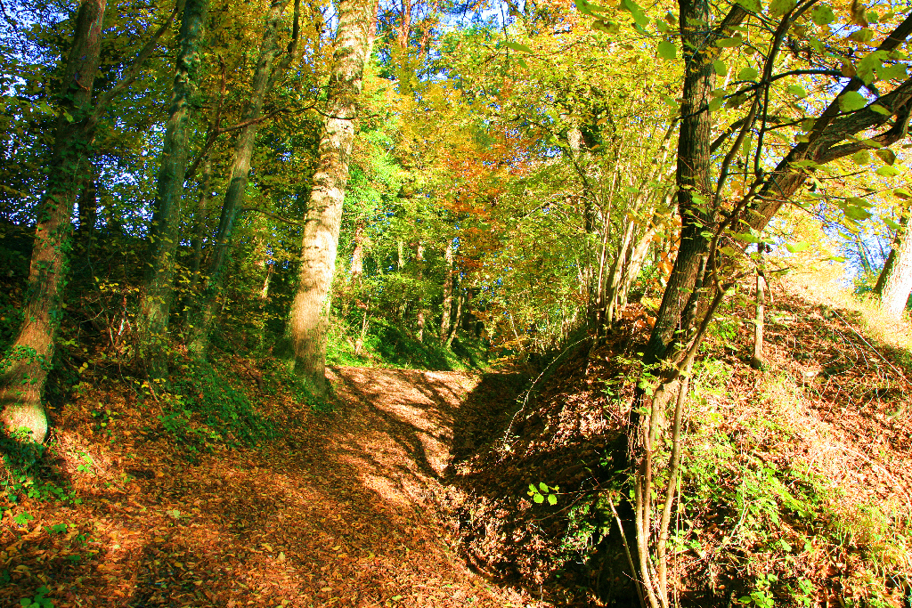 Herbstwanderung