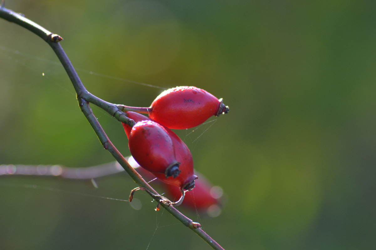 Herbstwanderung