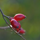 Herbstwanderung