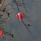 Herbstwanderung