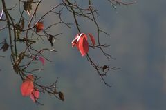 Herbstwanderung