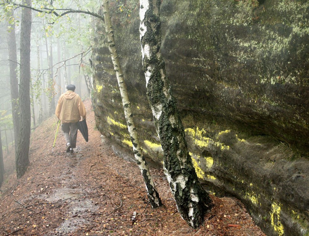 Herbstwanderung