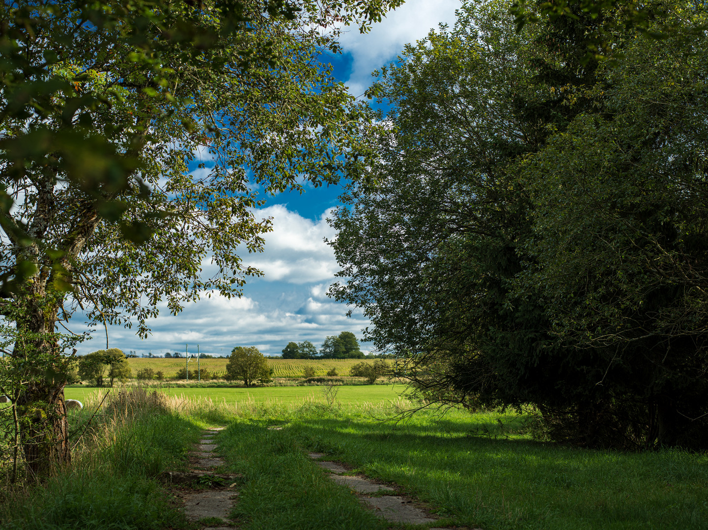 Herbstwanderung