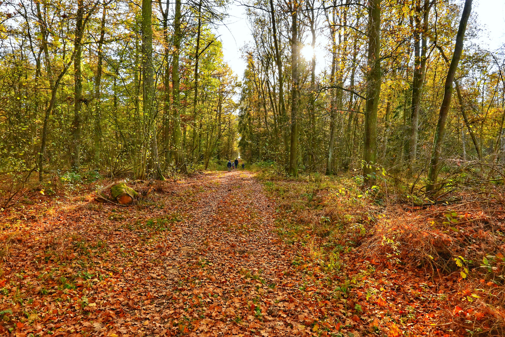 Herbstwanderung