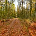 Herbstwanderung