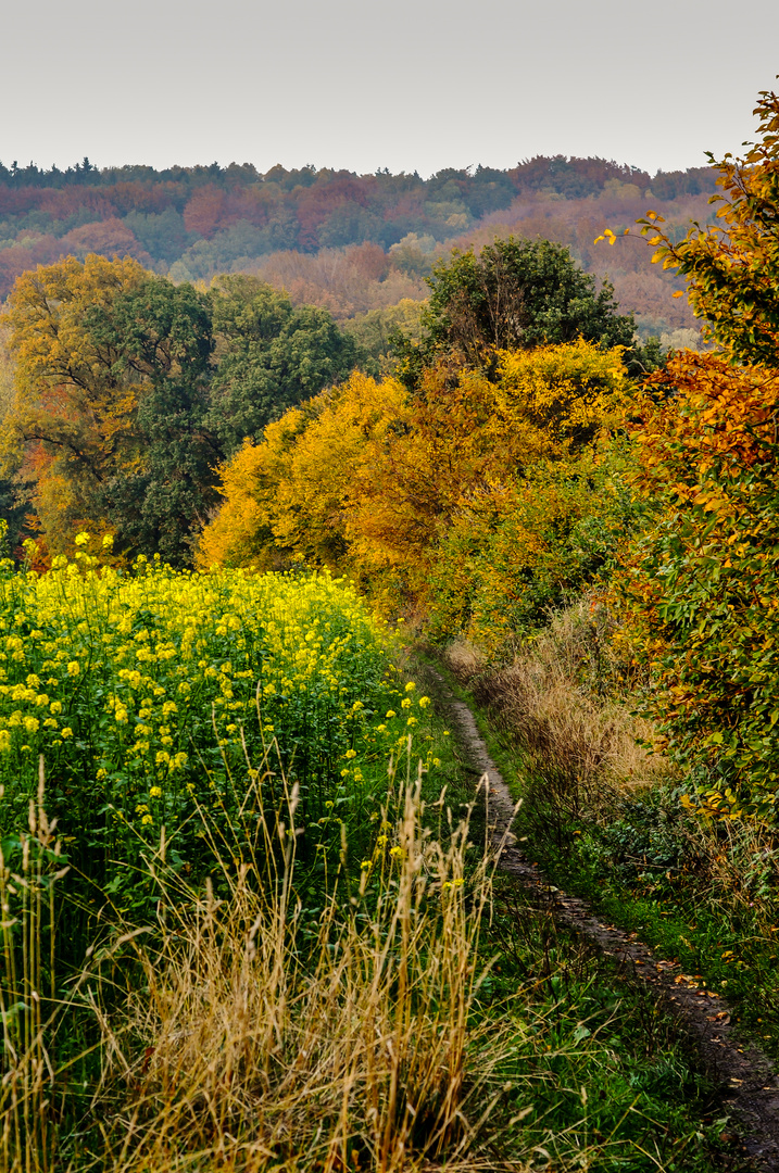 Herbstwanderung