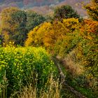 Herbstwanderung