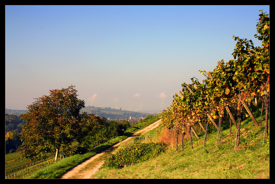 Herbstwanderung...