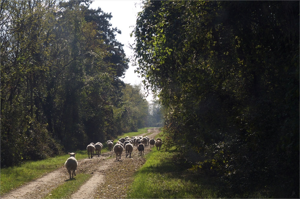 herbstwanderung...