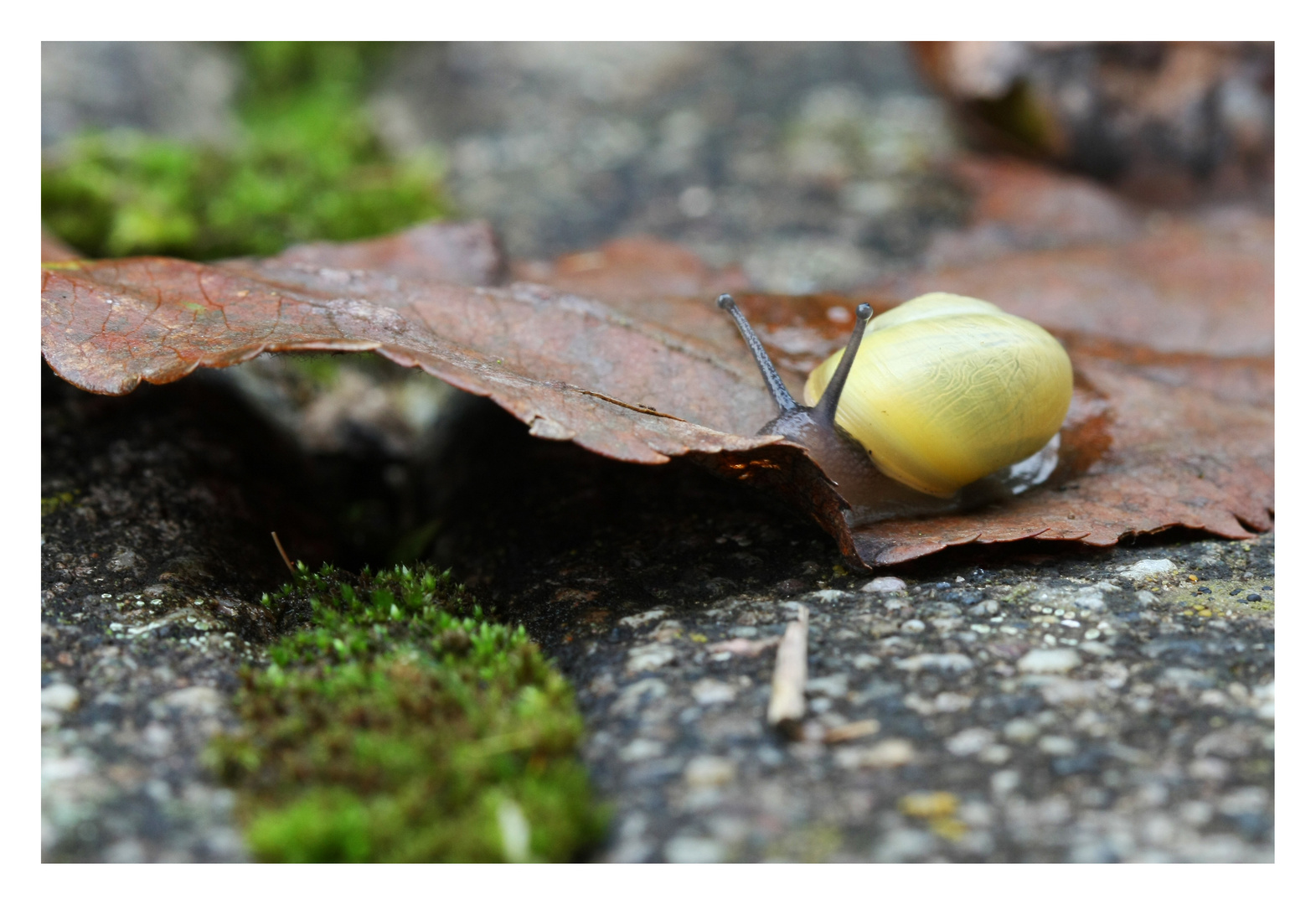 herbstwanderung