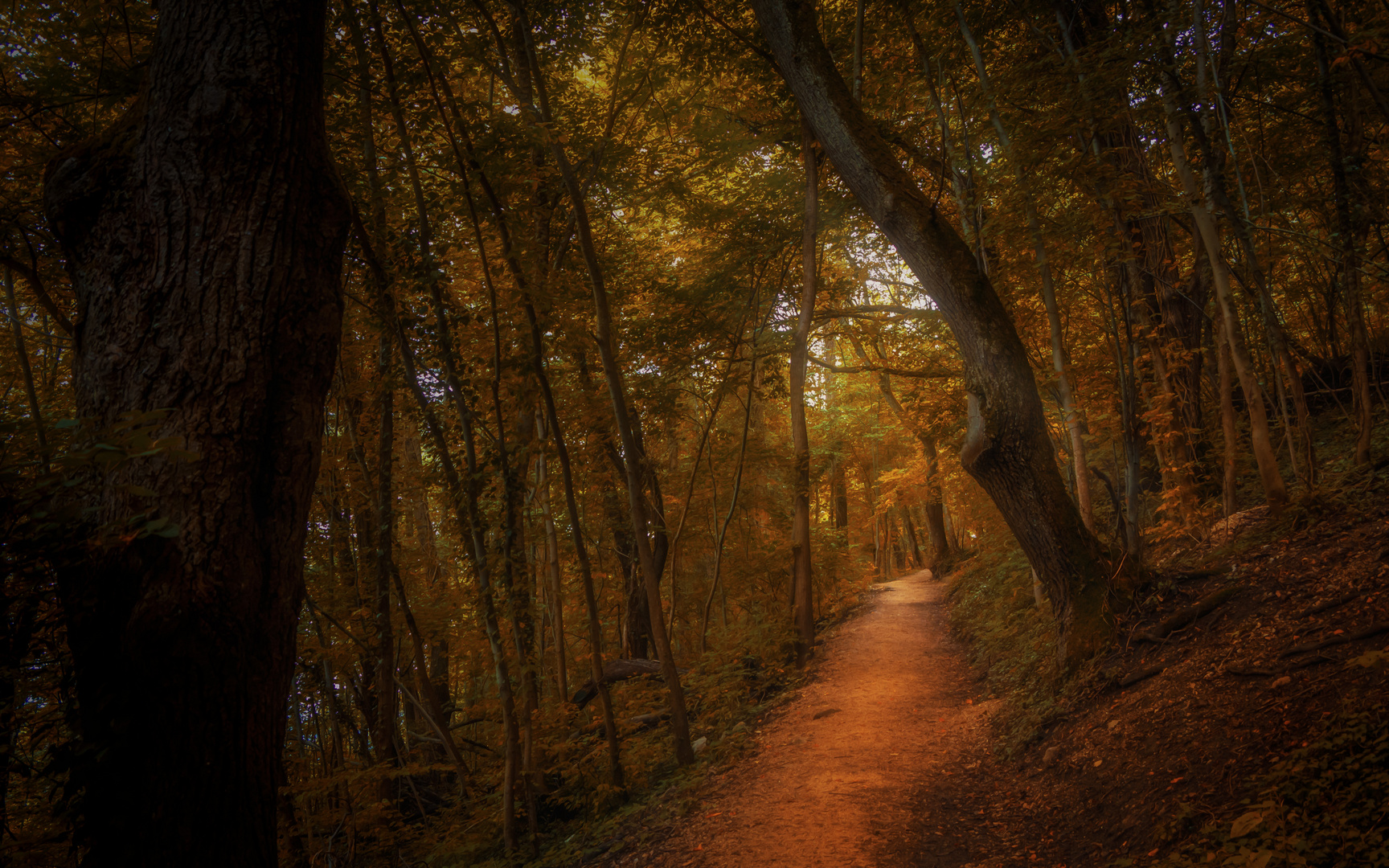 Herbstwanderung