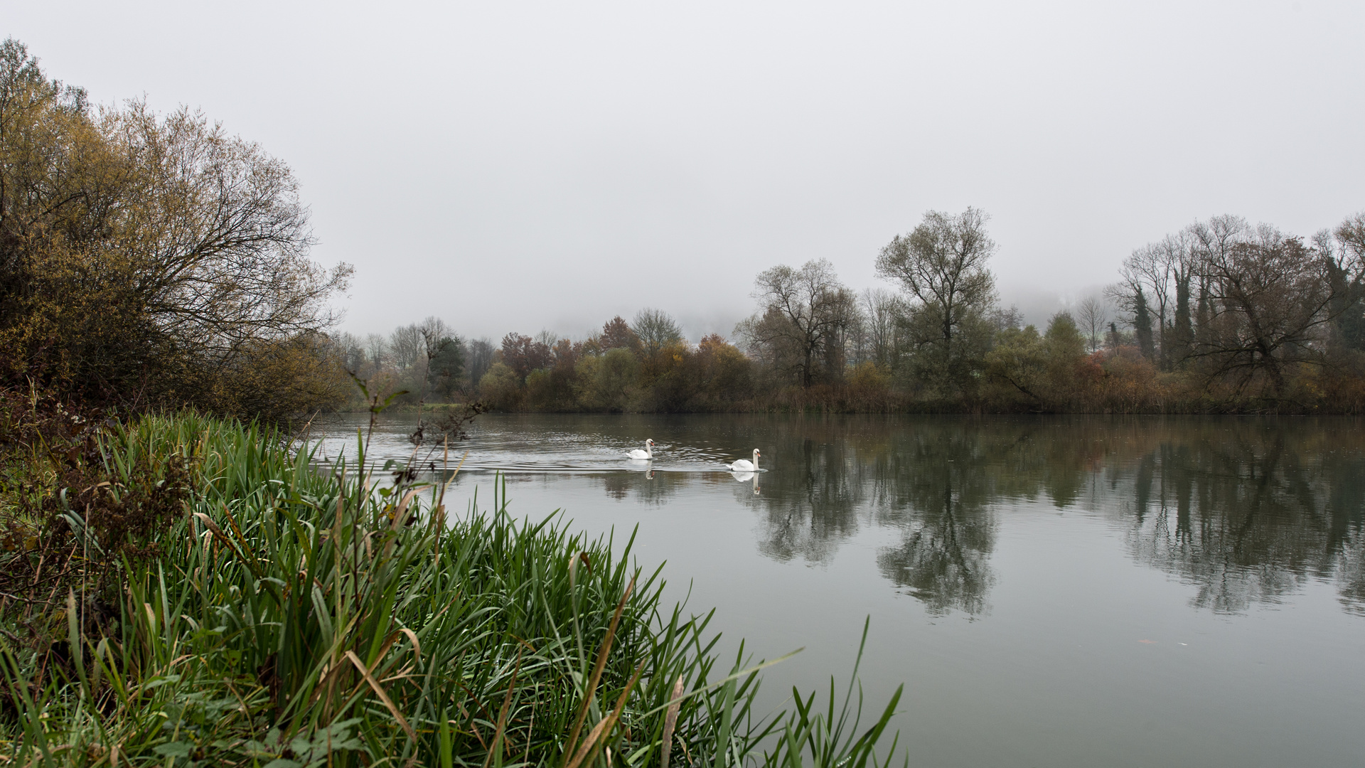 Herbstwanderung an Reuss und Flachsee / 2