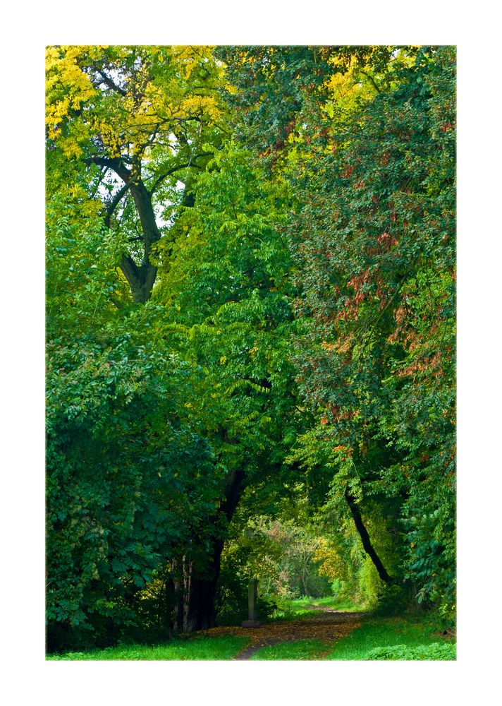 Herbstwanderung auf dem Kühkopf Nr. 1