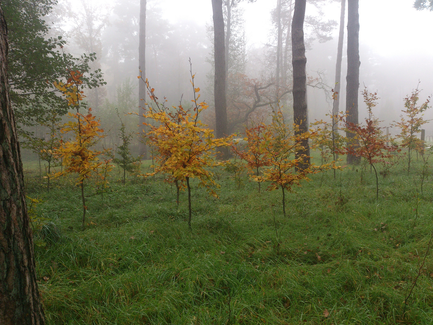 Herbstwanderung