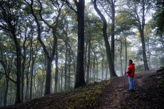 Herbstwanderung